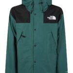 THE NORTH FACE GIUBBOTTO BLU